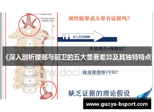 《深入剖析腰部与前卫的五大显著差异及其独特特点》