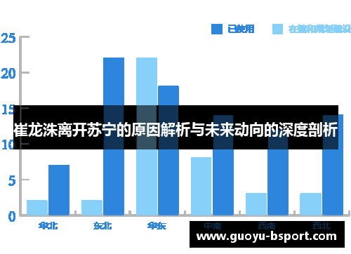崔龙洙离开苏宁的原因解析与未来动向的深度剖析