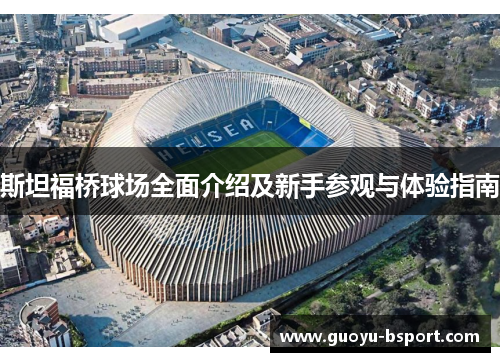 斯坦福桥球场全面介绍及新手参观与体验指南